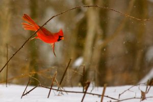 Kentucky Area Al-Anon – Hope and help for families and friends of