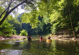 - Kentucky Area Al-Anon