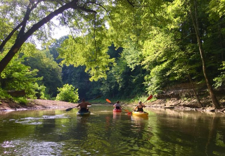 Kentucky Area Al-Anon – Hope and help for families and friends of